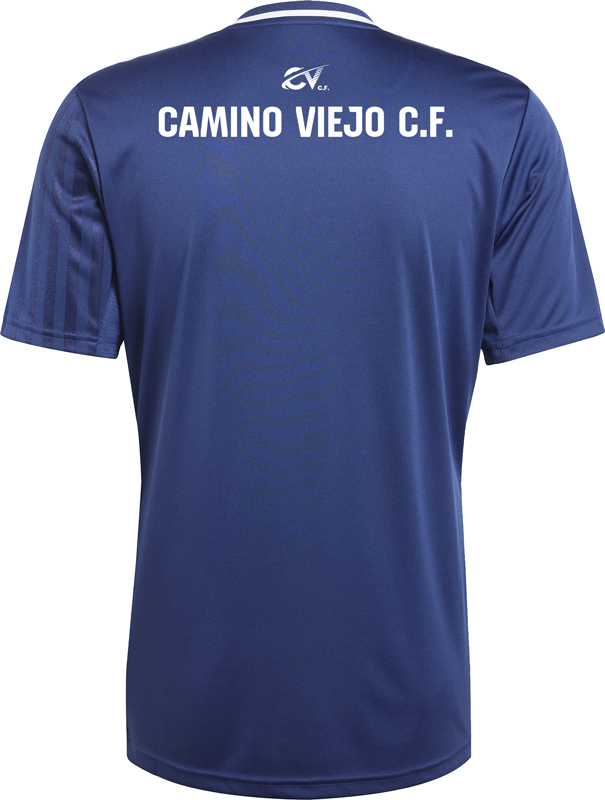 Entrenamiento Jugador trasera